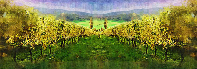 法國小木桐干紅葡萄酒2011(木桐副牌)