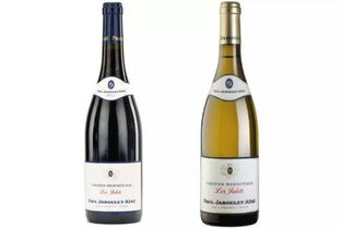 不知道這個(gè)酒莊,別說(shuō)你懂法國(guó)葡萄酒